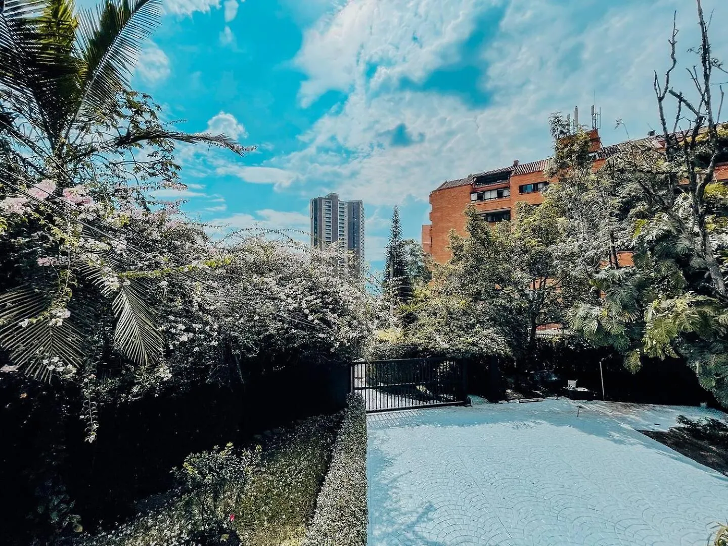 Japandi Style House 3 Bedroom & Bathtub Medellin Apartment